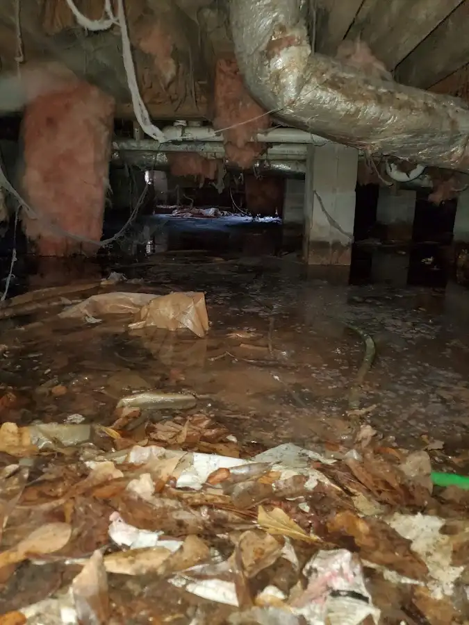 Crawl space flood assessment for Leak Detection & Repair in San Clemente
